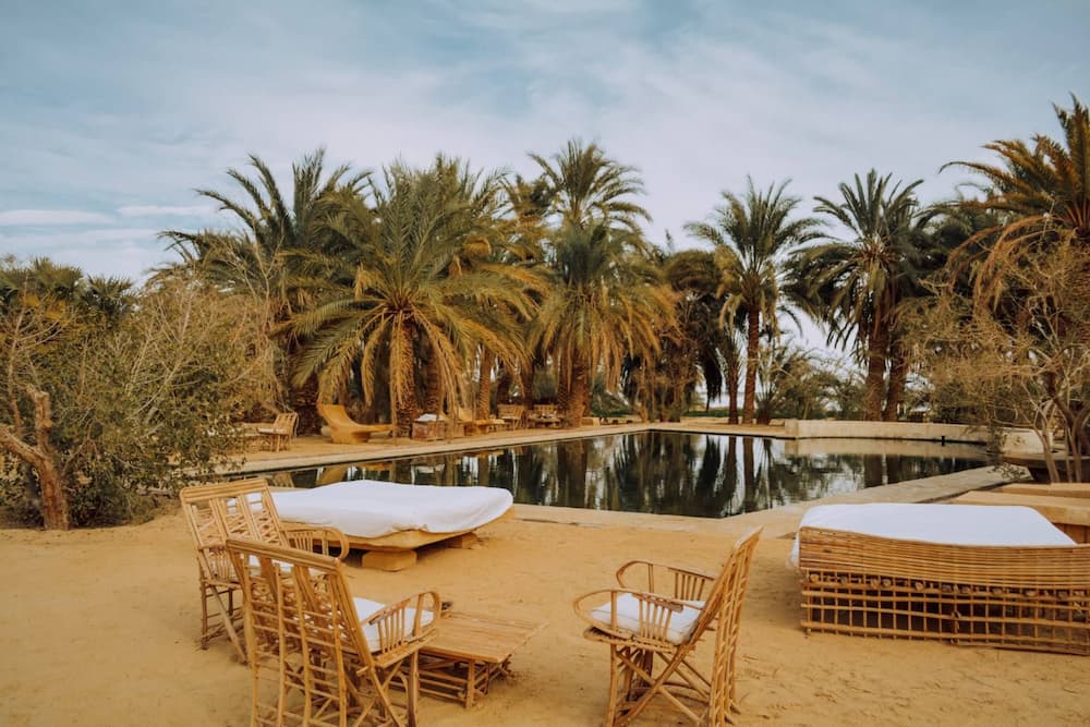 为期3天的开罗游览Siwa Oasis＆White Desert